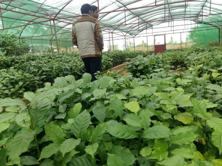 Convention de partenariat avec ROBENS GROUP