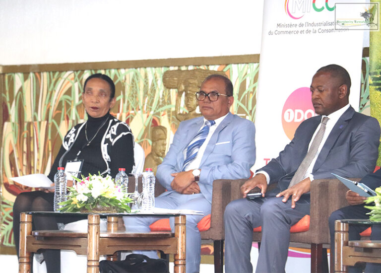 La fonction de représentation paysanne