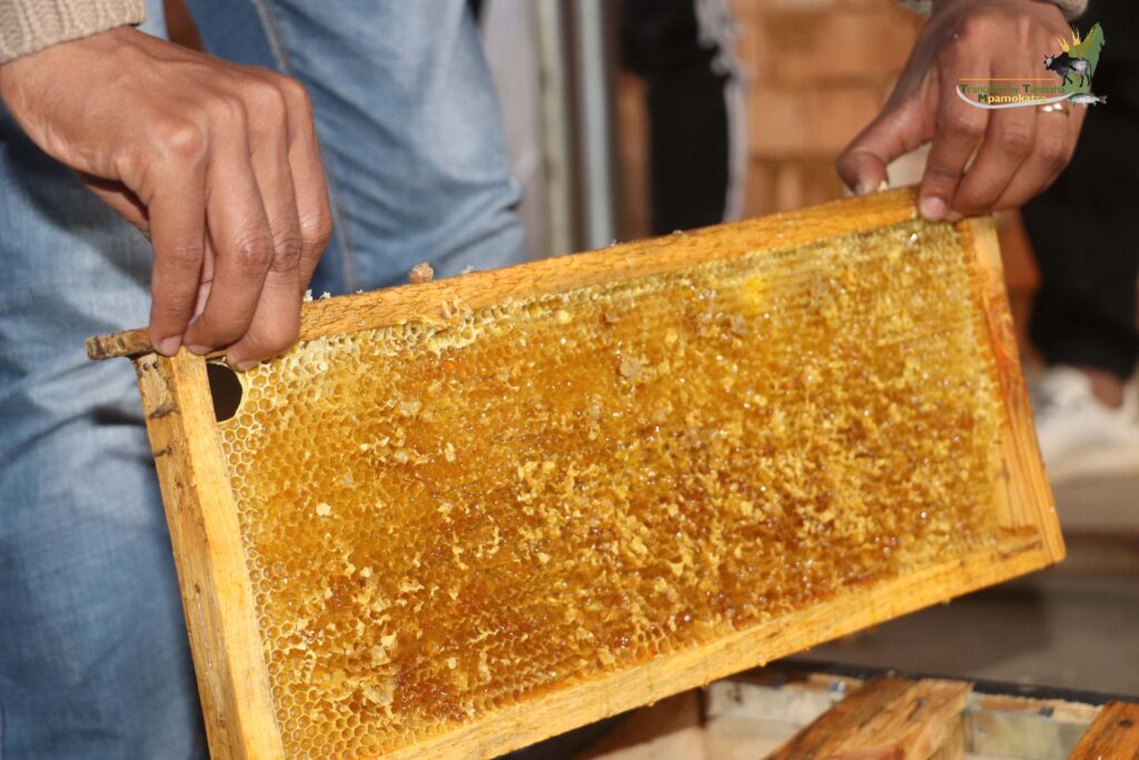 Atelier d’information et de sensibilisation du programme FFF-TTM