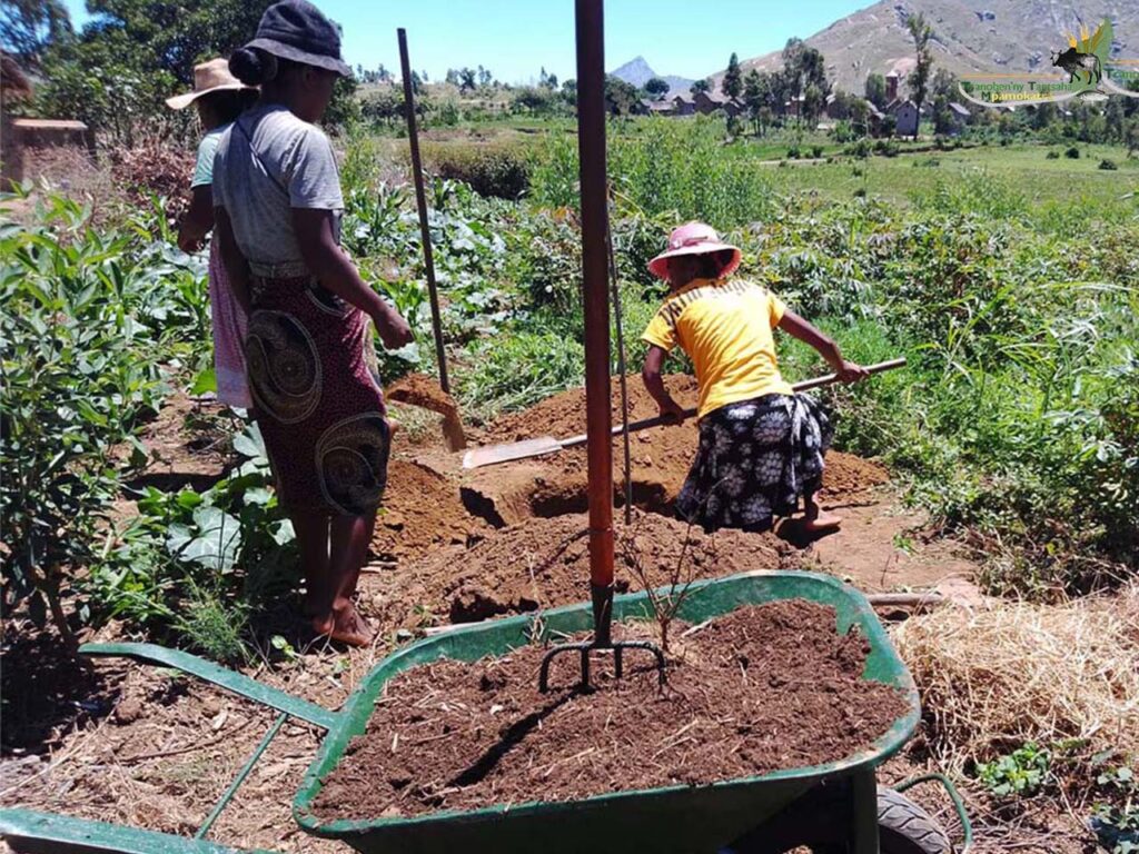 Renforcement de capacité projet AMMMI